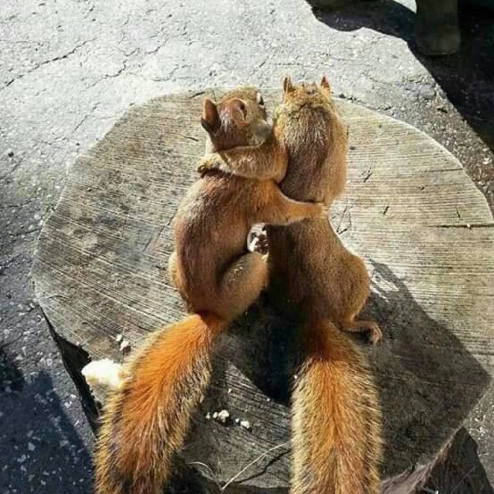 Meet your Posher, Isabel